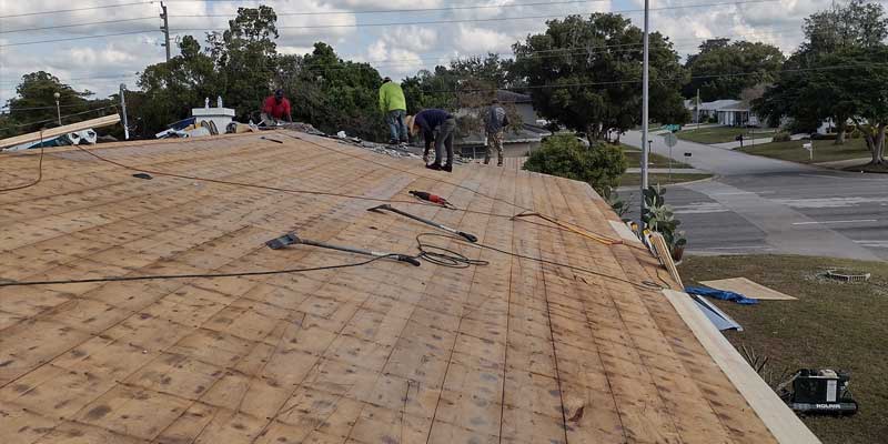 What Will a Roof Replacement Cost in Sarasota?
