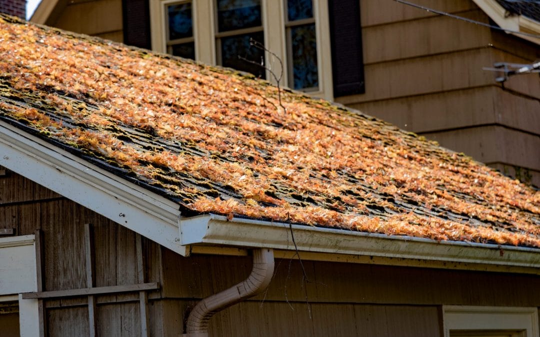 4 Common Spring Roof Problems in Lakewood Ranch